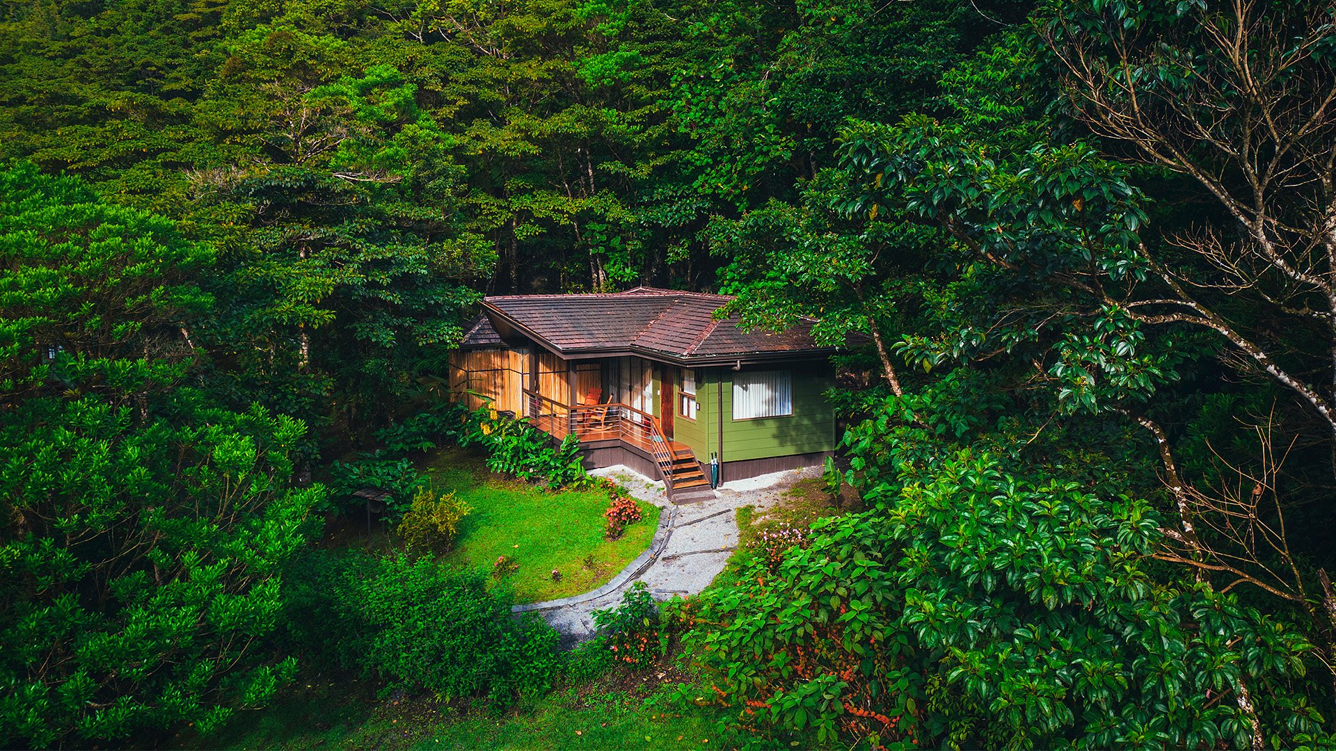 Best Costa Rica Cloud Forest Hotels & Lodges