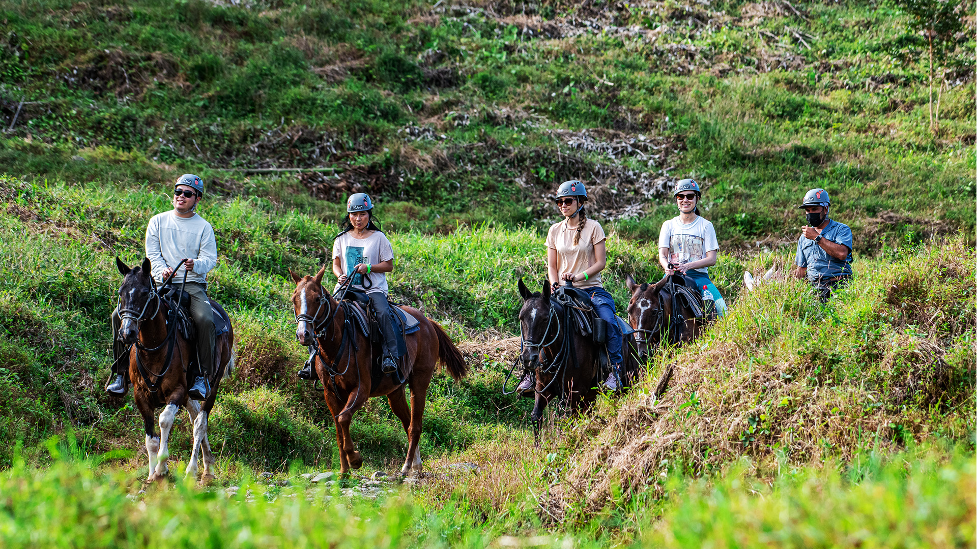 Farmland Horseback Riding Tour