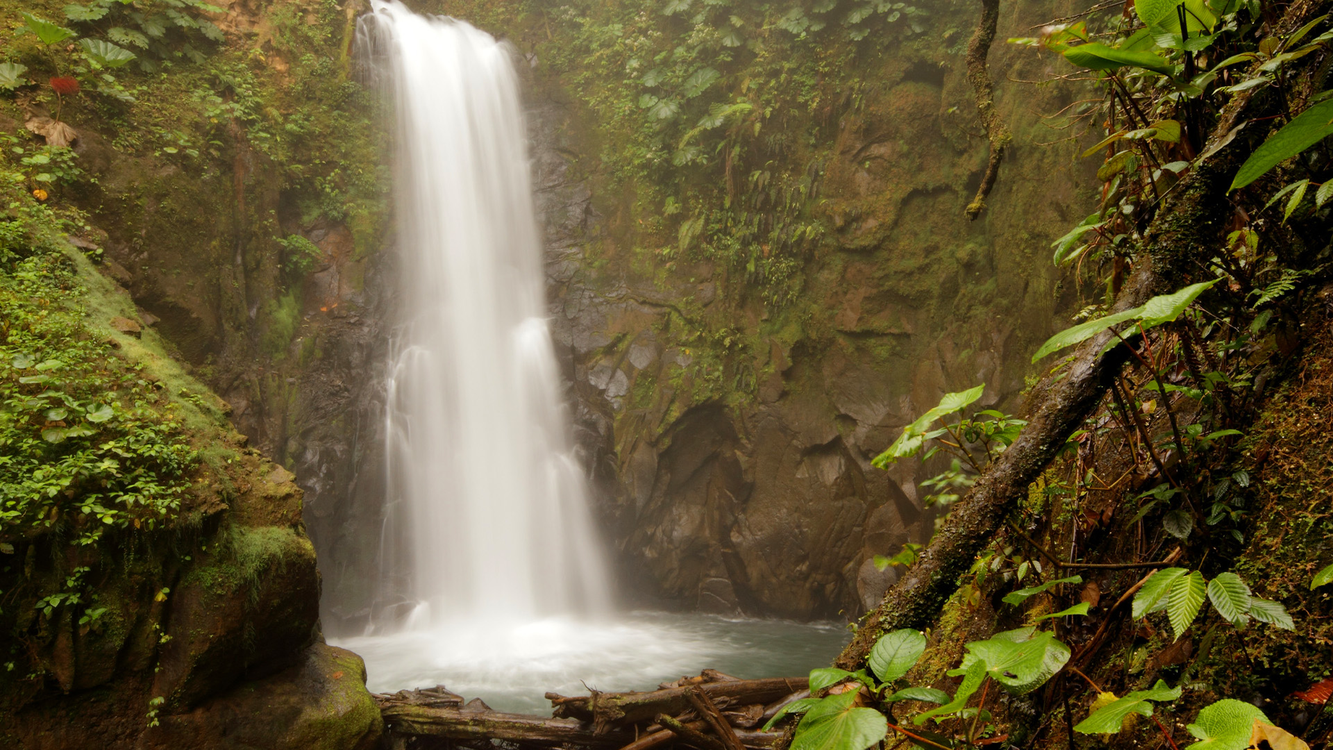 La Paz Waterfall Gardens Tour (afternoon)