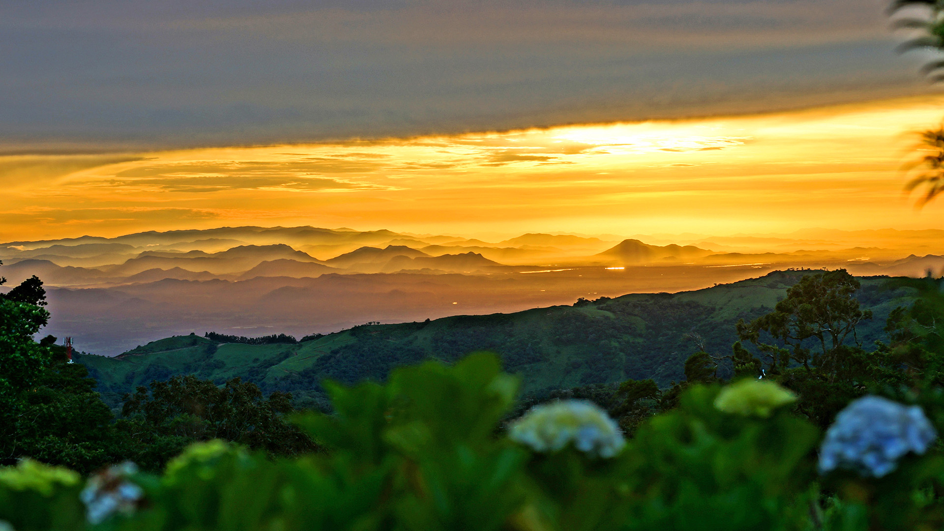 Best Monteverde Hotels & Lodges