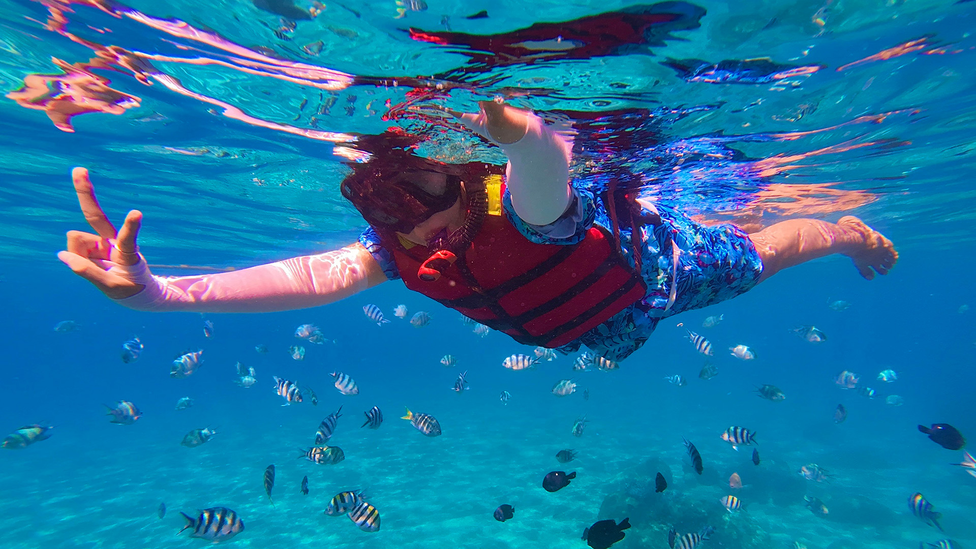 Snorkel & Hike Cahuita National Park