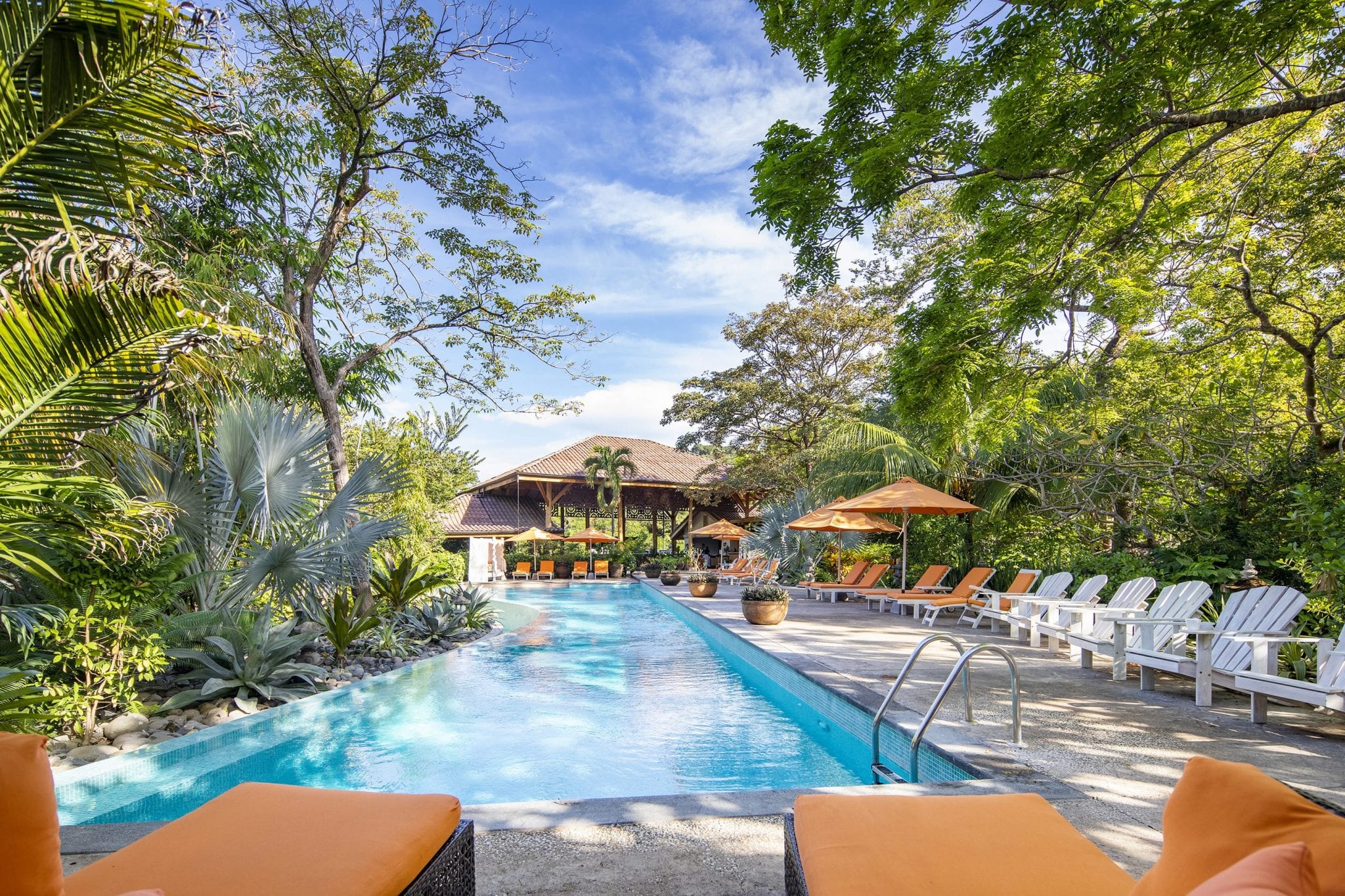 Bodhi Tree Yoga Resort Pool