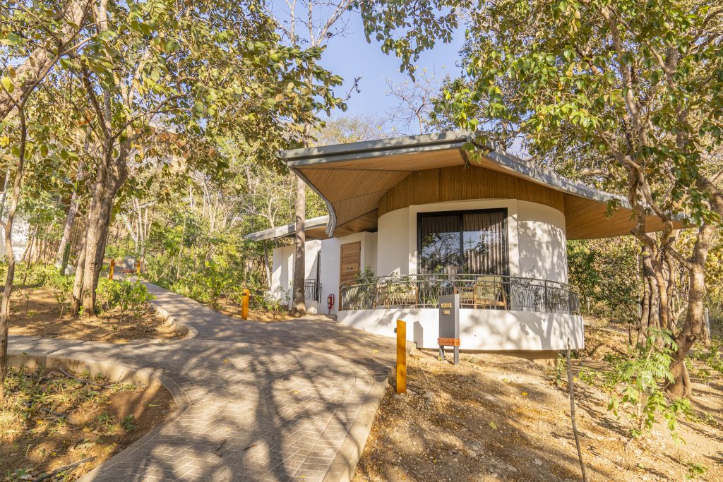 Suitree Experience Hotel