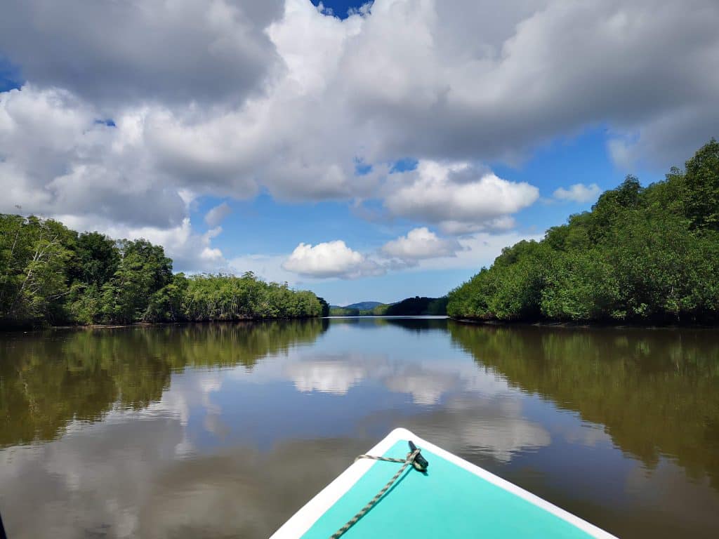 Drake Bay Mangrove Boat Tour