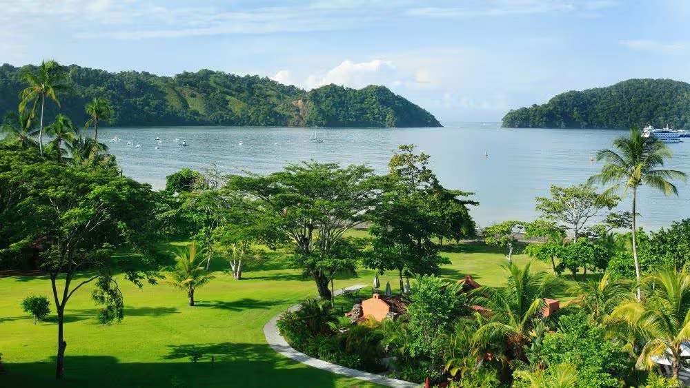 Yoga and therapy area