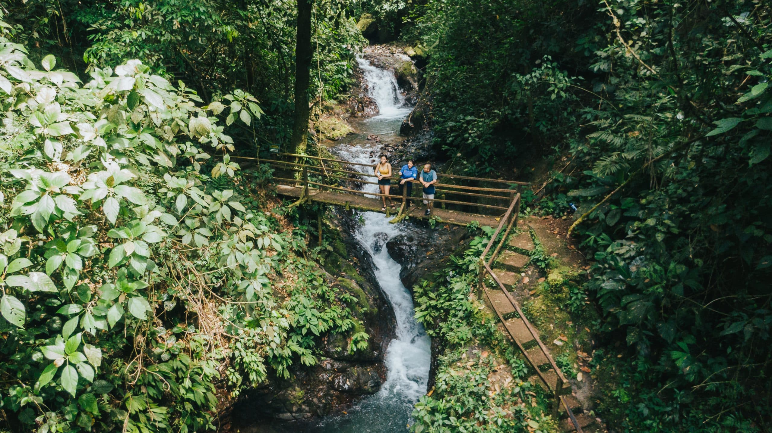 Rainmaker Reserve Hike