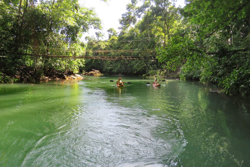 Drake Bay Kayak Mangrove Tour