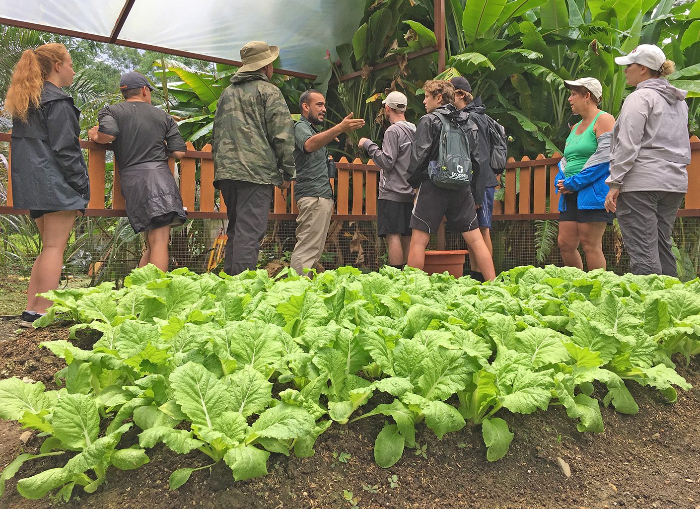 Local Flavors Cooking Class