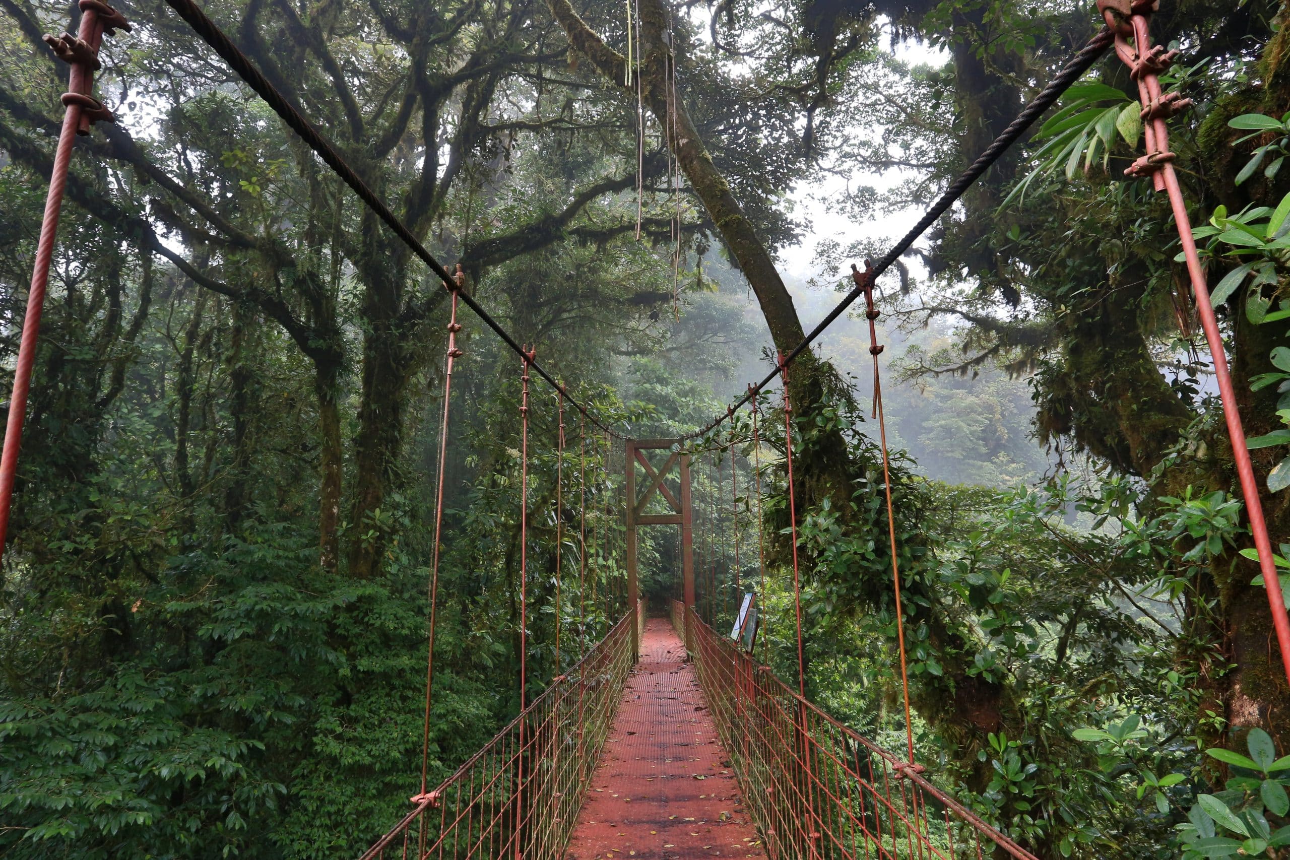 Monteverde Cloud Forest Reserve