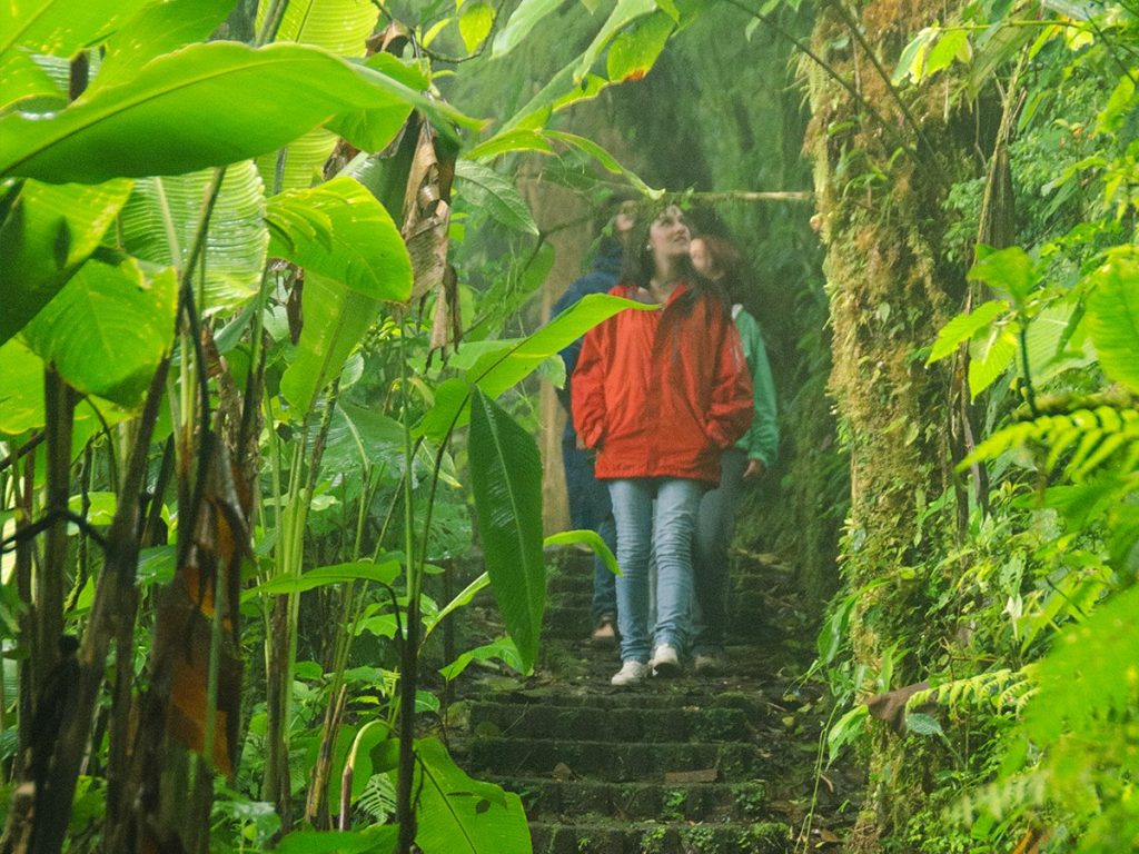 Monteverde Cloud Forest Hike