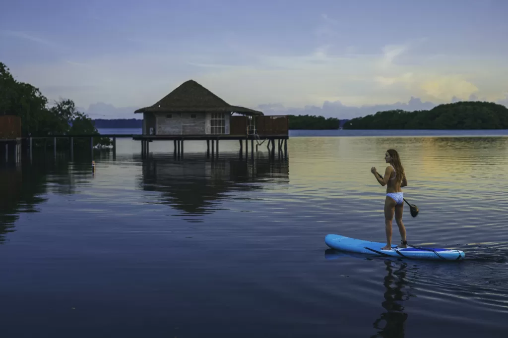Paddleboard Bocas del Toro Panama