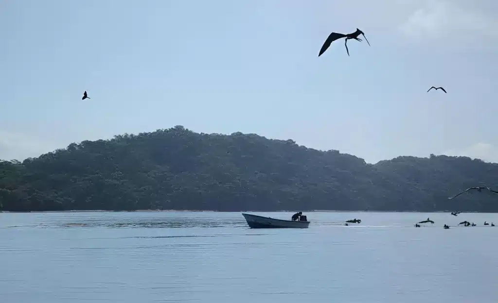 Santa Teresa Fishing