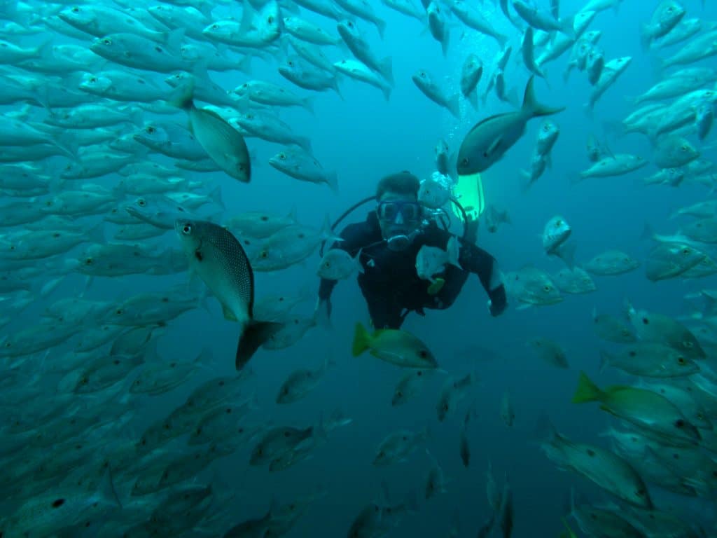 Scuba Diving in Playa Conchal