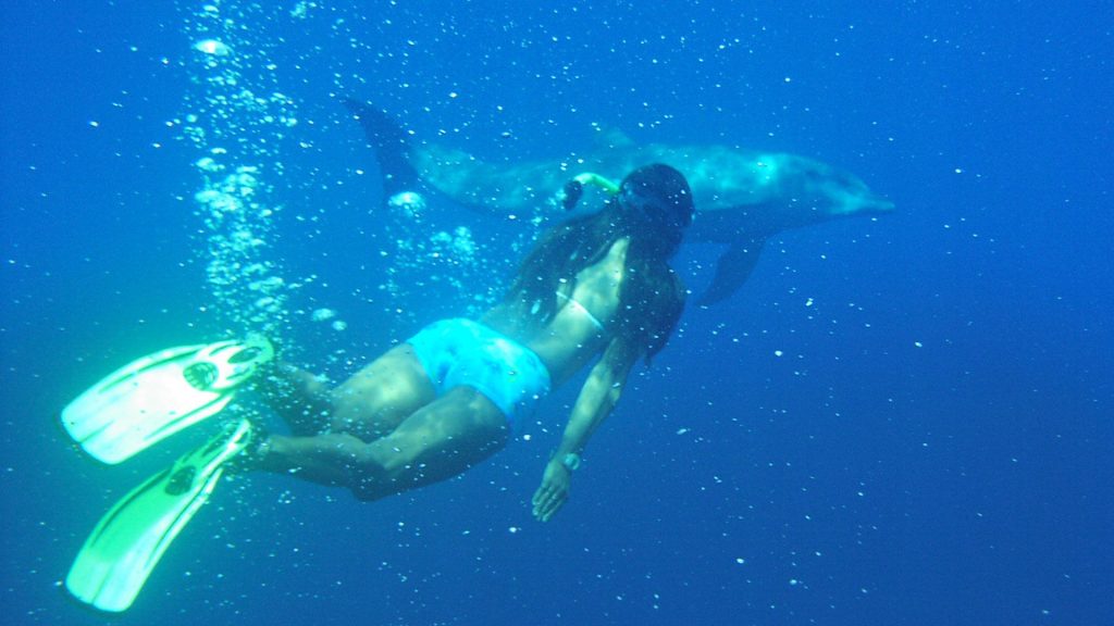 Snorkeling Caño Island near Drake Bay