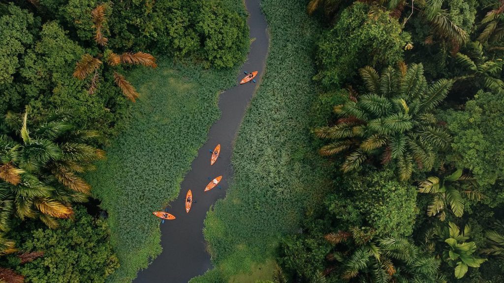 Tortuguero kayak