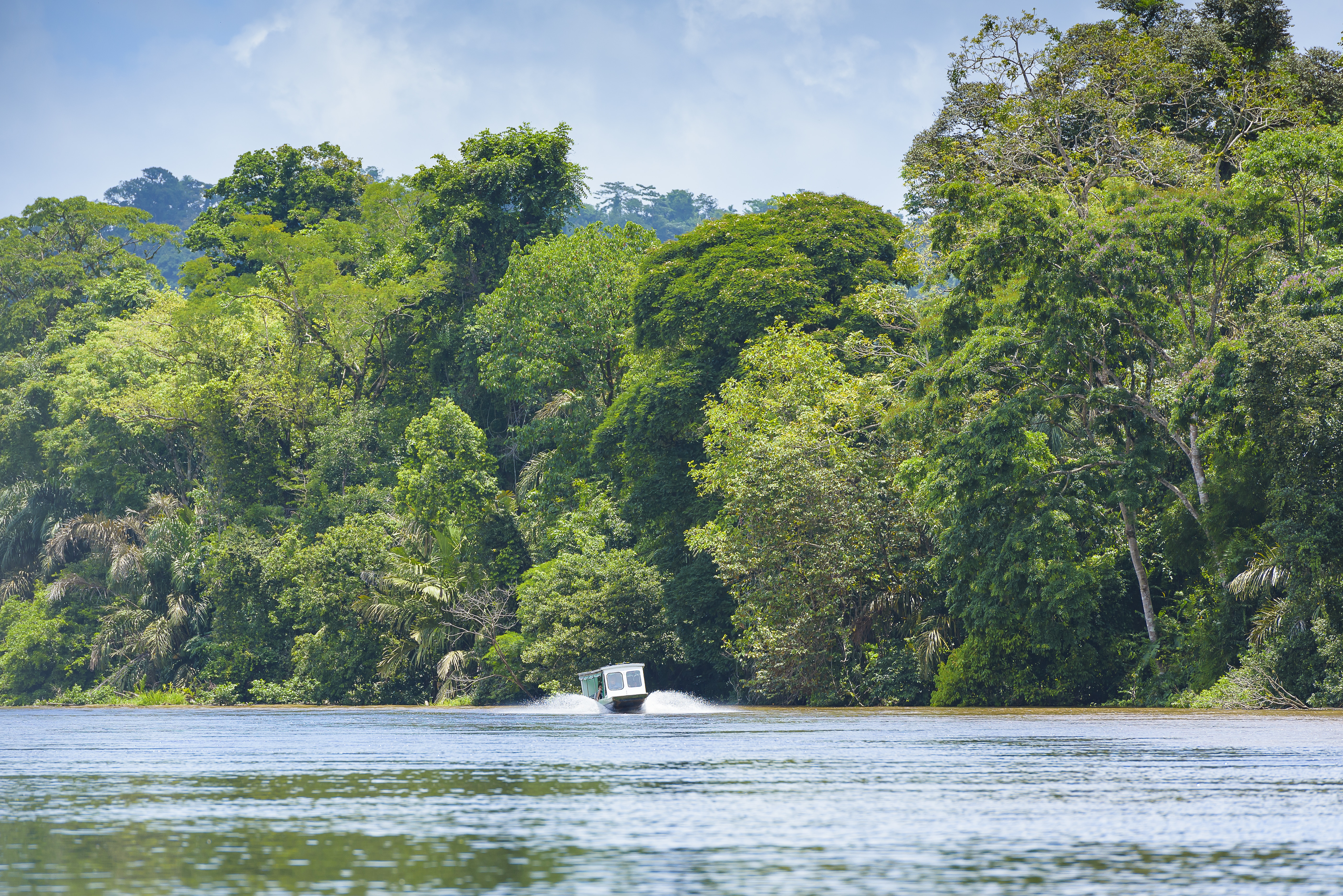Tortuguero