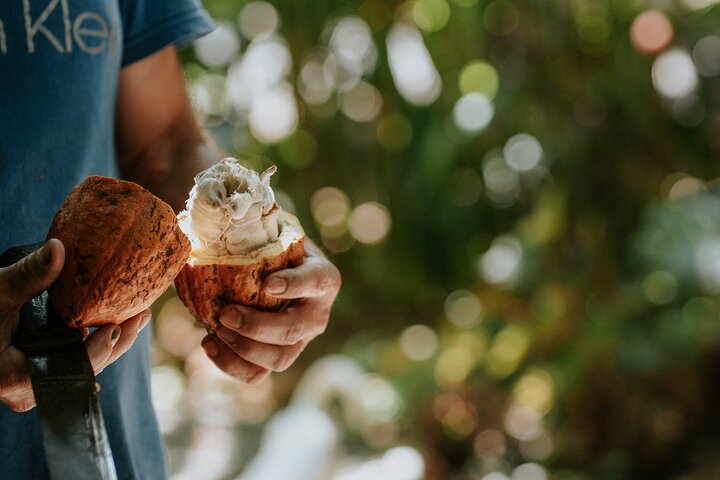 Villa Vanilla Spice Tour