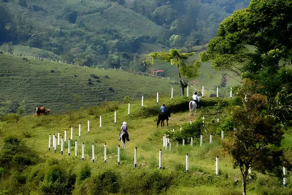 Alta Gracia Horseback Riding