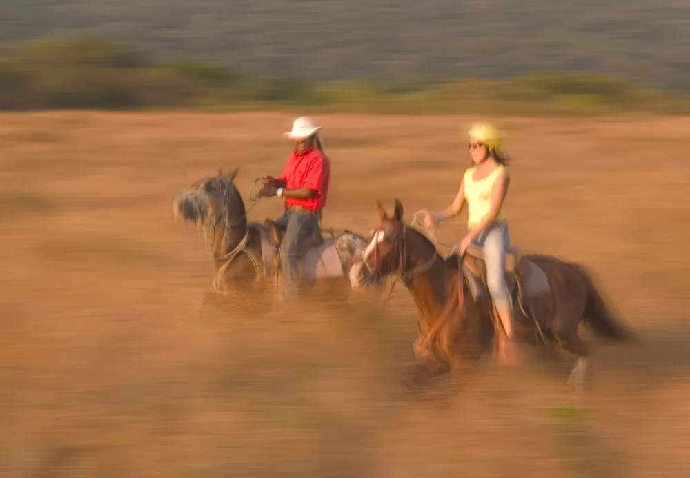 Cloud Forest Horseback Riding