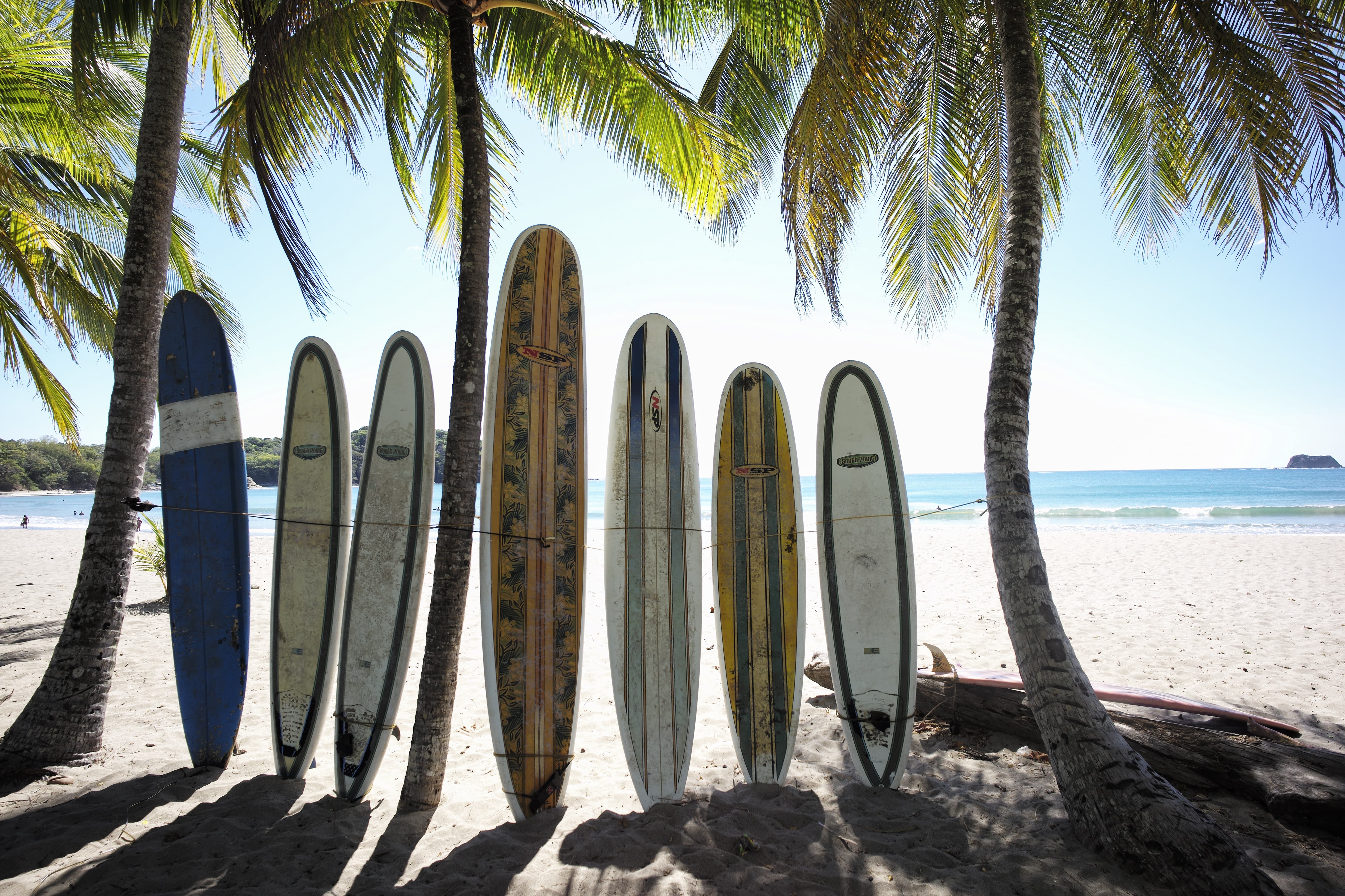 Costa Rica Surfing: Catch the Country’s Best Waves