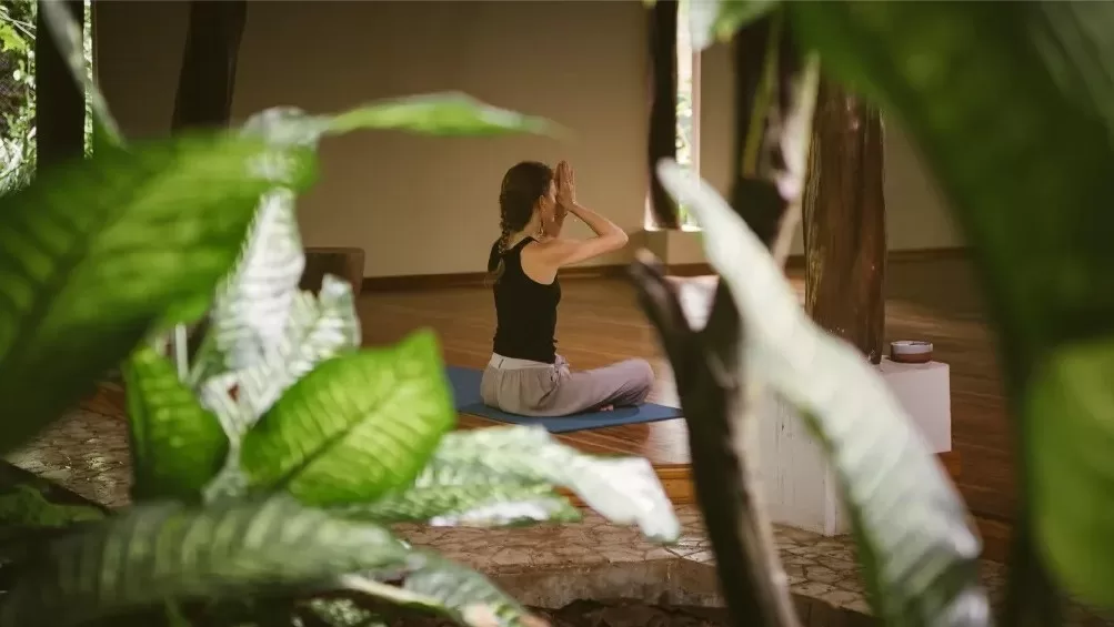 Costa Rica Yoga Retreats Harmony Hotel
