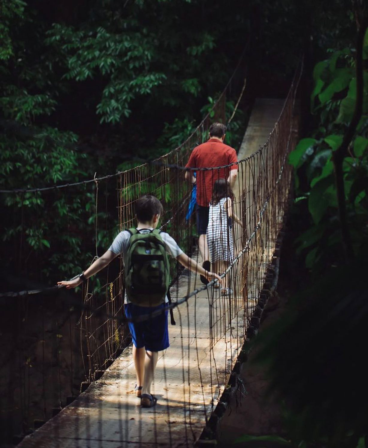 Rainforest Adventure