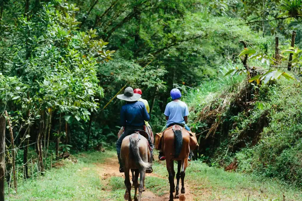 Tocori Horseback Riding