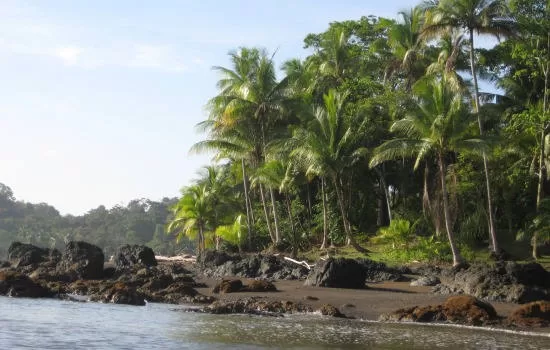 Digital Detox Destinations in Costa Rica