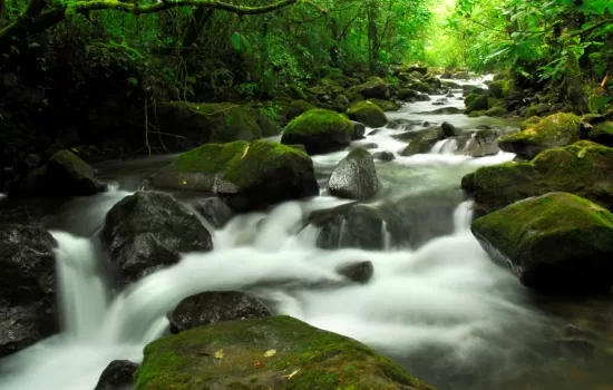 Digital Detox Destinations in Costa Rica