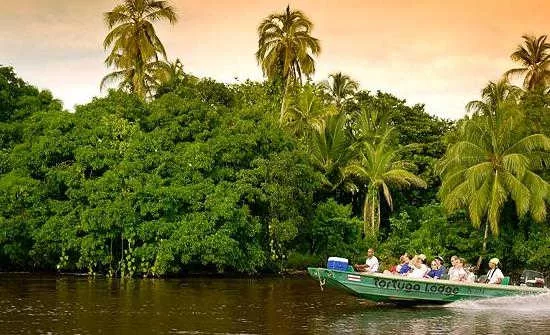 Destination Spotlight: Tortuguero