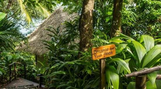 Digital Detox Destinations in Costa Rica