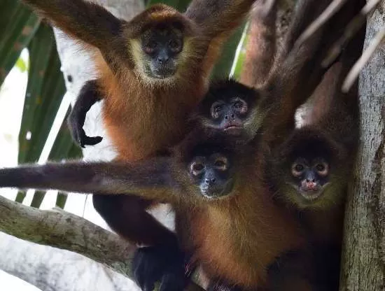 6 Essential Family Travel Tips From Costa Rica Experts