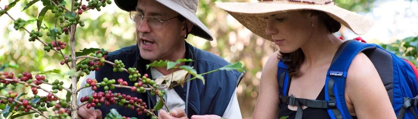 Finca Rosa Blanca Coffee Plantation Review