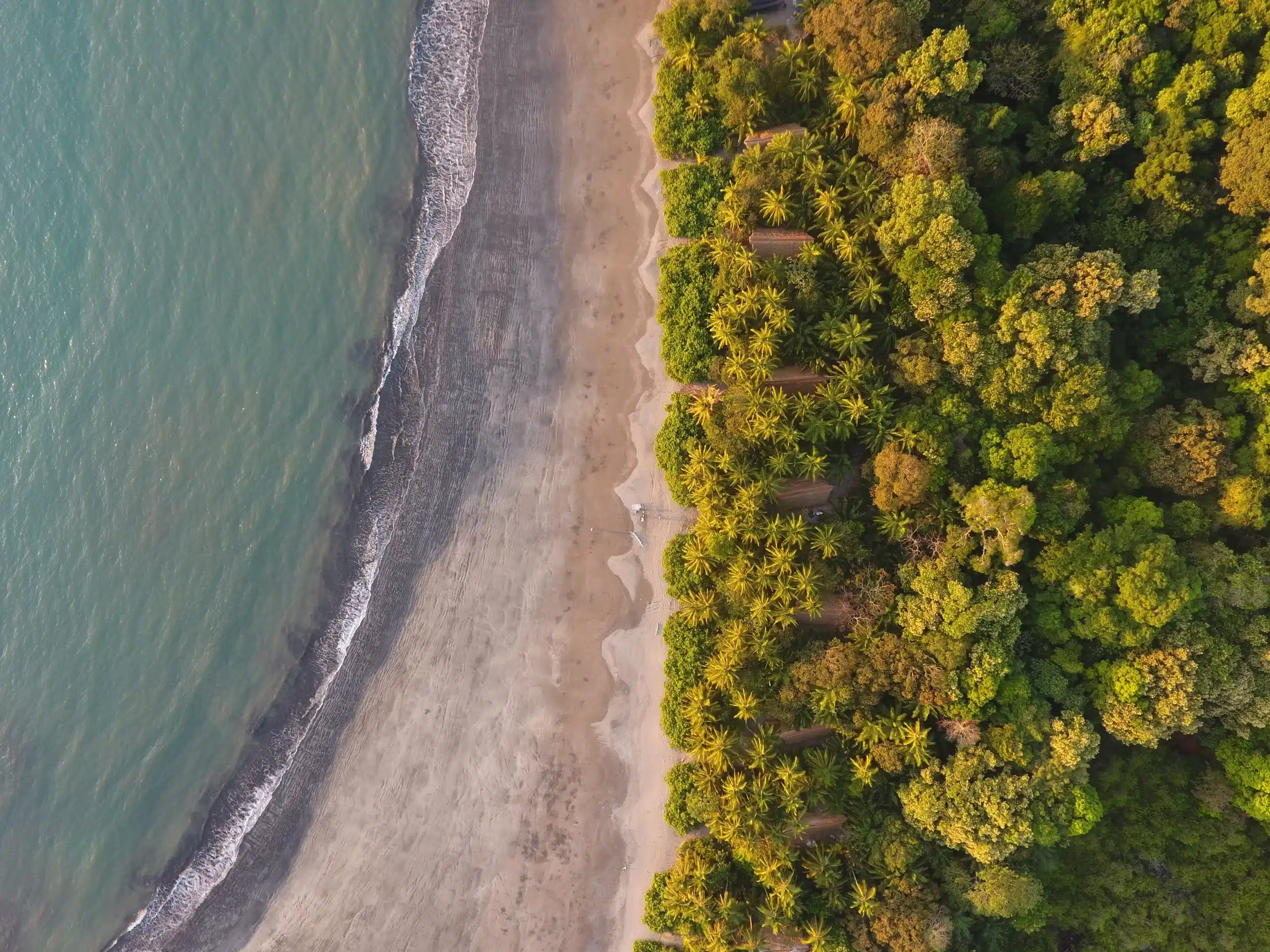Isla Palenque Resort beachfront