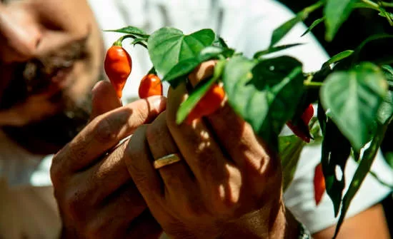 Isla Palenque Takes the Lead in Panama Tourism