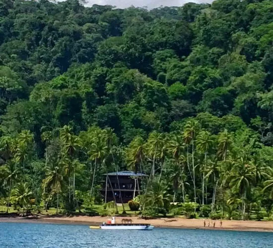 Playa Cativo Rainforest Hotel Review