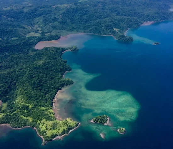 Playa Cativo Rainforest Hotel Review