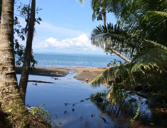 Playa Cativo Rainforest Hotel Review