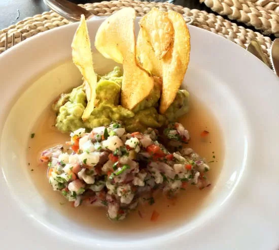 Playa Cativo Rainforest Hotel Review