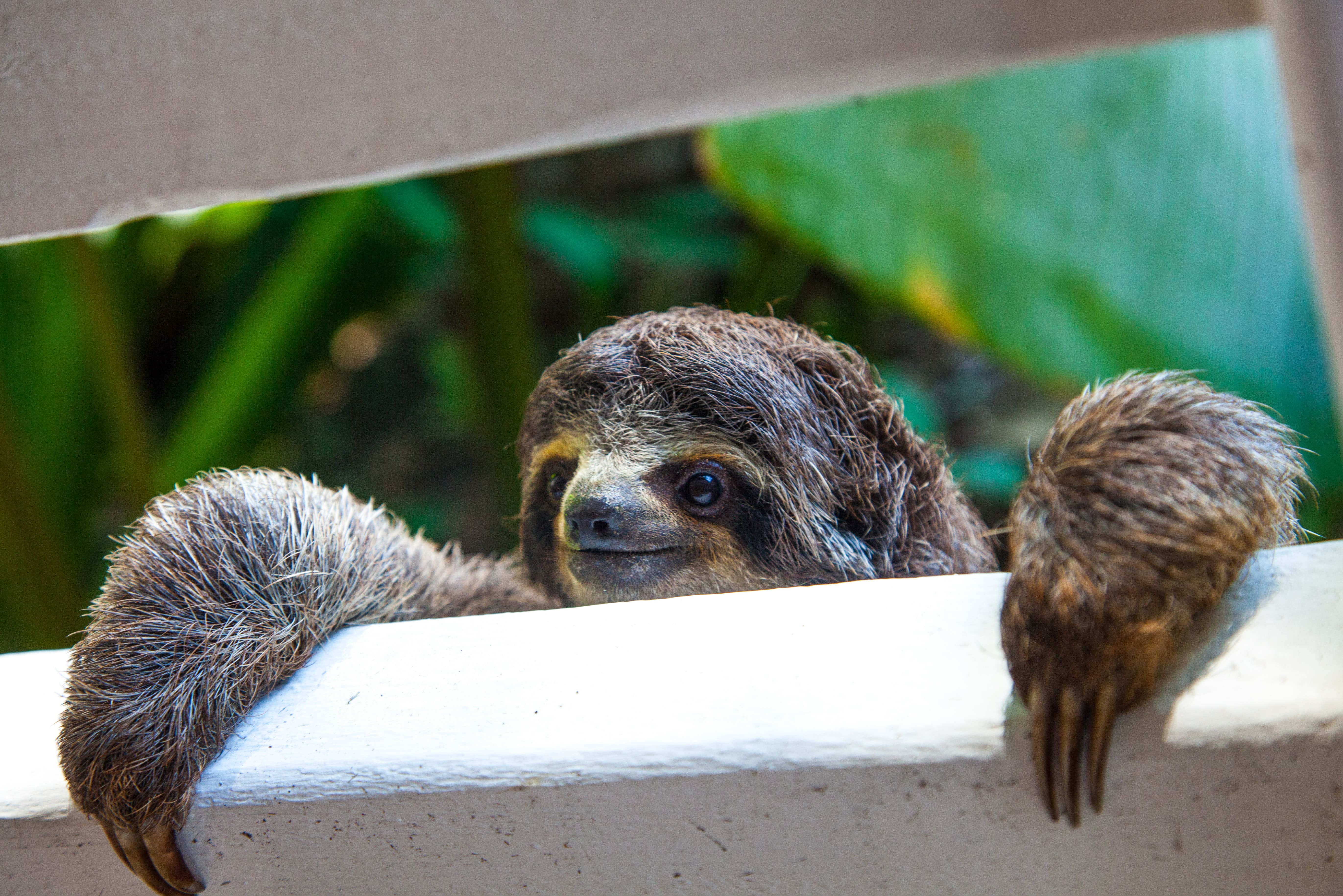 South Caribbean Tours