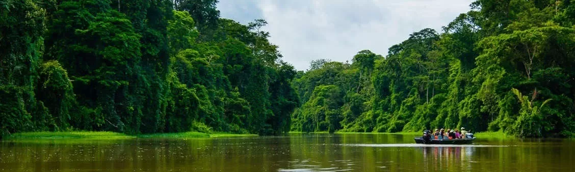 Things to Know Before Visiting Tortuguero National Park