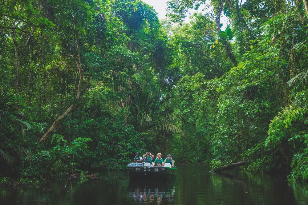 Best of Both Coasts Boat Tour Tortuguero
