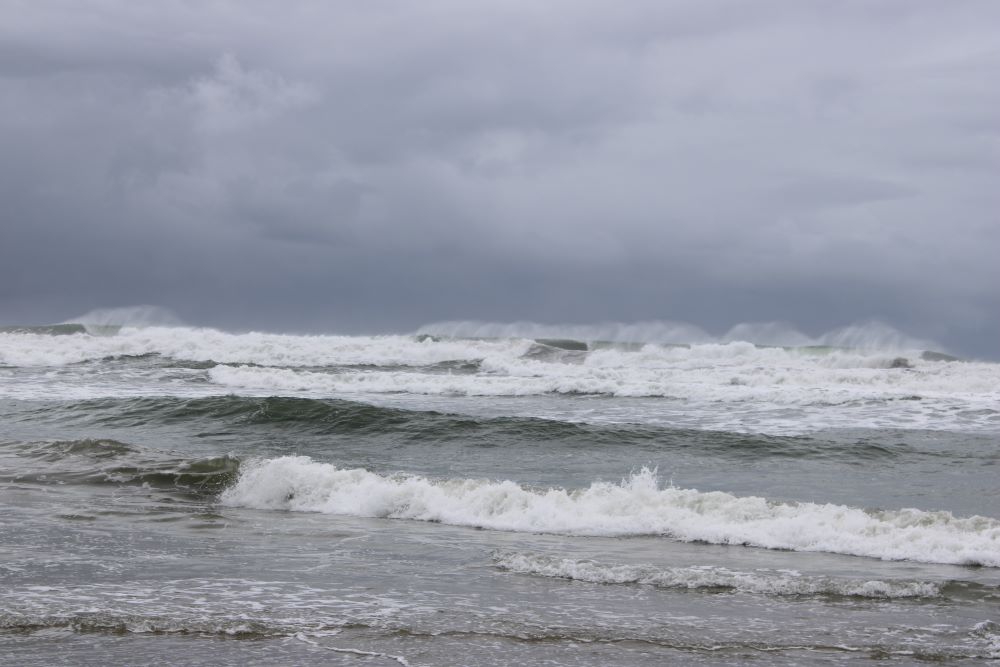 Surf, Sun & Serenity Surf