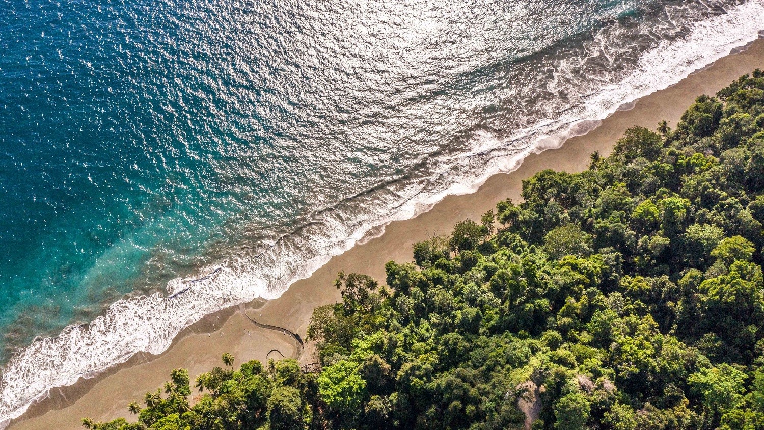 Some Trips Energize Us. Others Restore Us. Costa Rica Does Both.